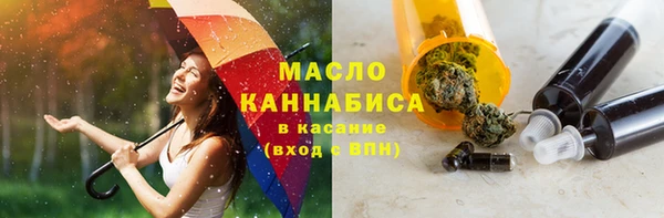 дживик Козельск