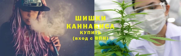дживик Козельск