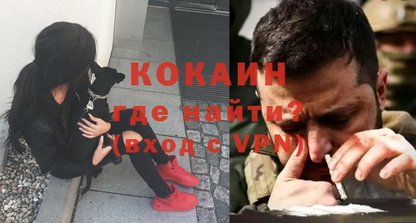 дживик Козельск