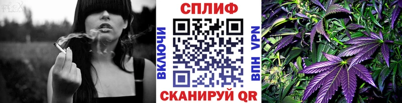 Купить  Минусинск  Бошки марихуана AK-47 